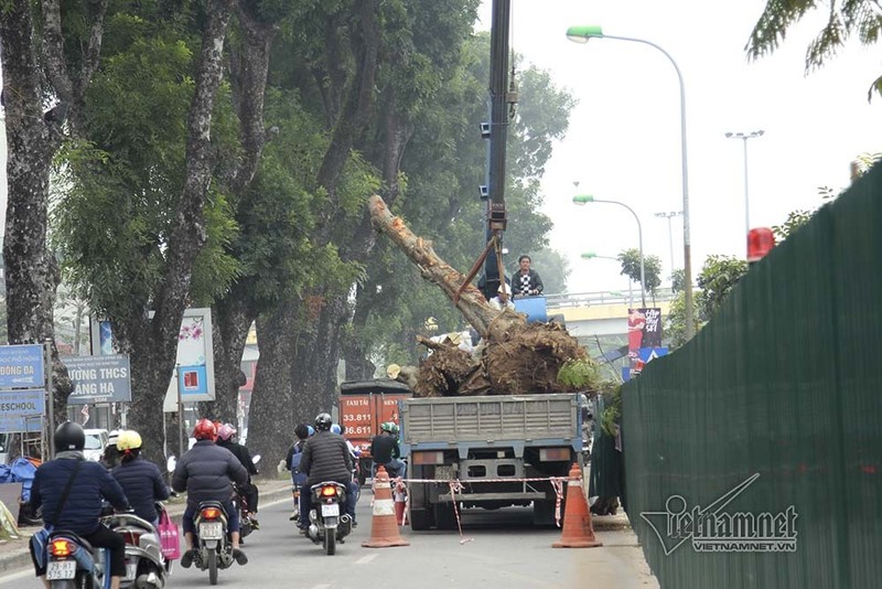 Tai sao Ha Noi 