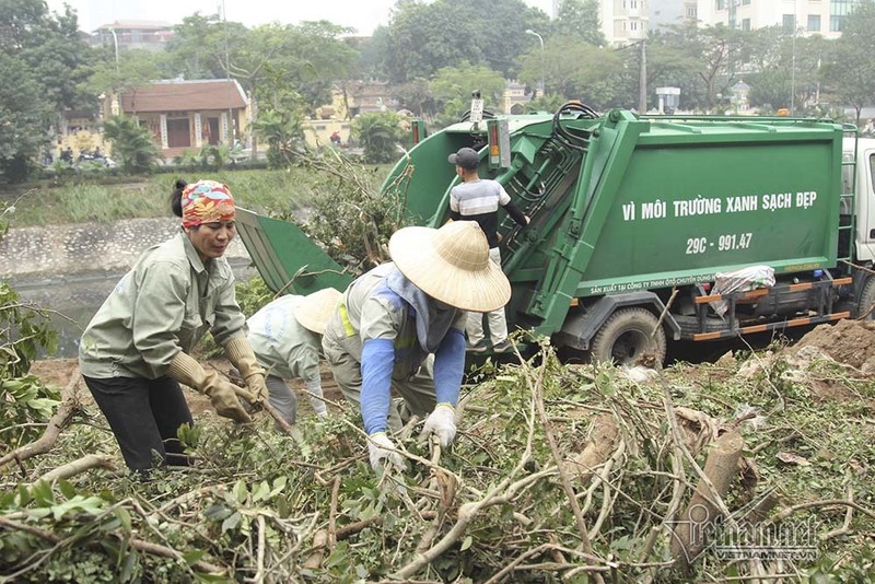 Tai sao Ha Noi 