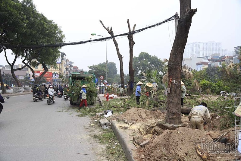 Tai sao Ha Noi 