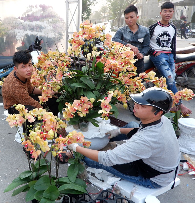 Anh: Tap nap cho hoa Tet Van Phuc-Hinh-8