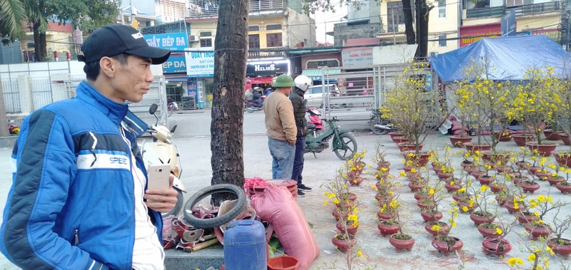 Anh: Nguoi dan Thu do thich thu ngam mai vang khoe sac tren pho-Hinh-7