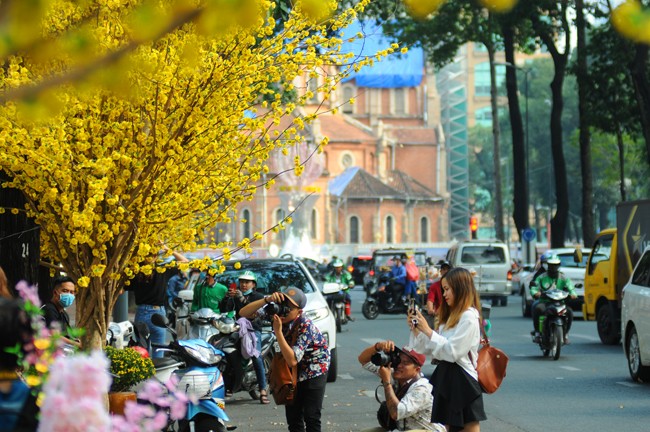 Pho ong Do vang ruc, thu hut gioi tre den 