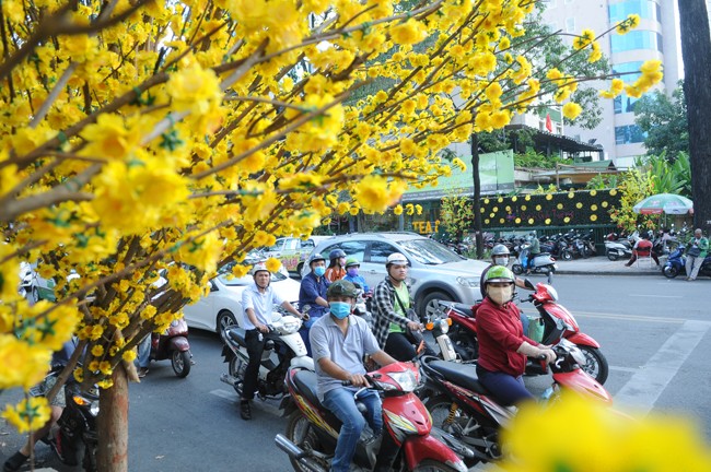 Pho ong Do vang ruc, thu hut gioi tre den 