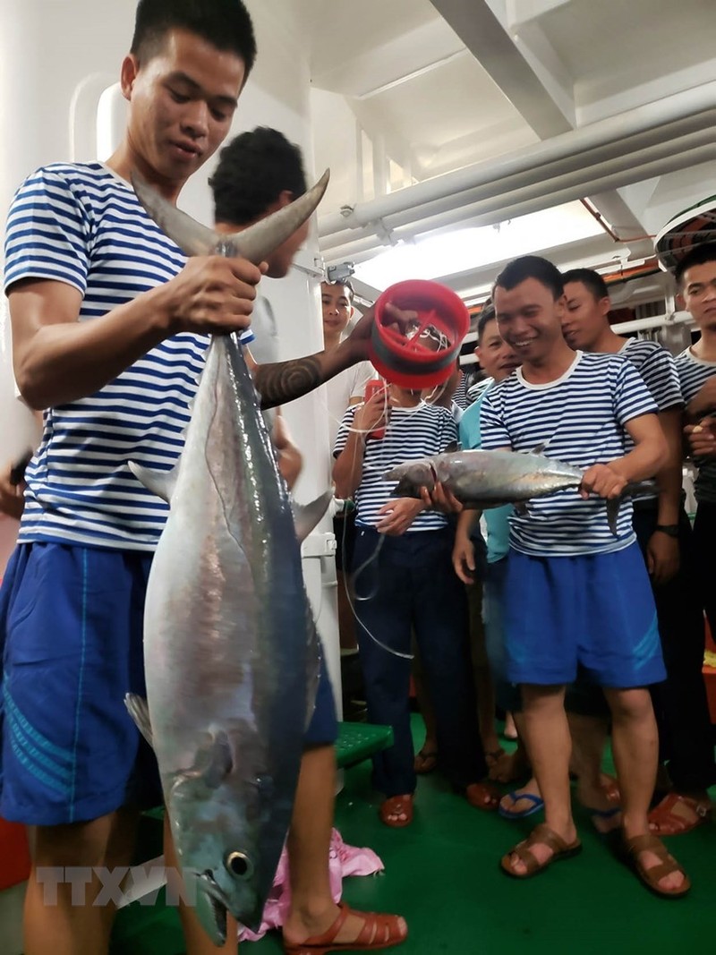 Trai nghiem thu vi khi san ca dem tren bien Truong Sa-Hinh-6