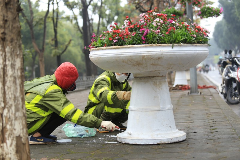 Ha Noi: Rop co hoa chao don Hoi nghi Thuong dinh My-Trieu-Hinh-19