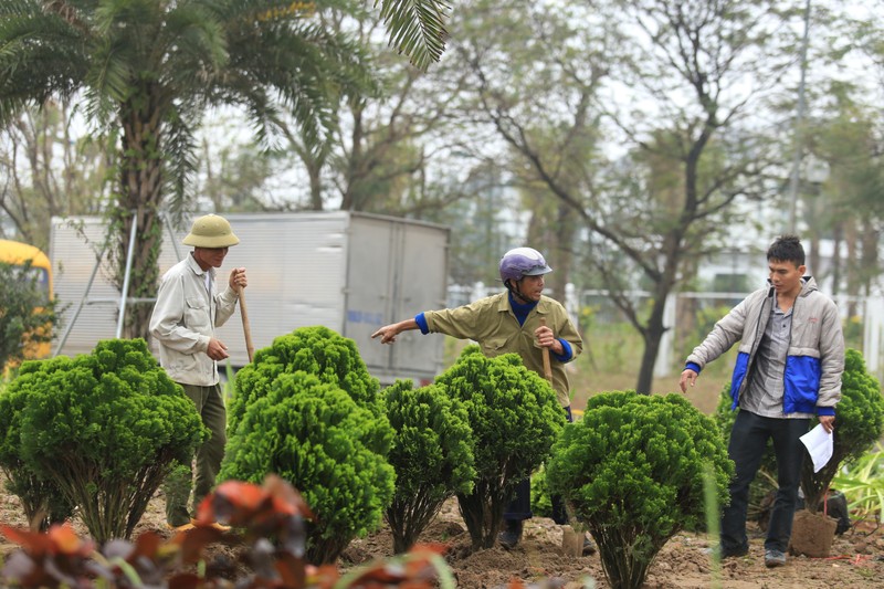 Ha Noi: Rop co hoa chao don Hoi nghi Thuong dinh My-Trieu-Hinh-7