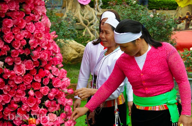 Nguoi dan Thu do thich thu voi chu lon khong lo lam tu hoa tuoi-Hinh-5