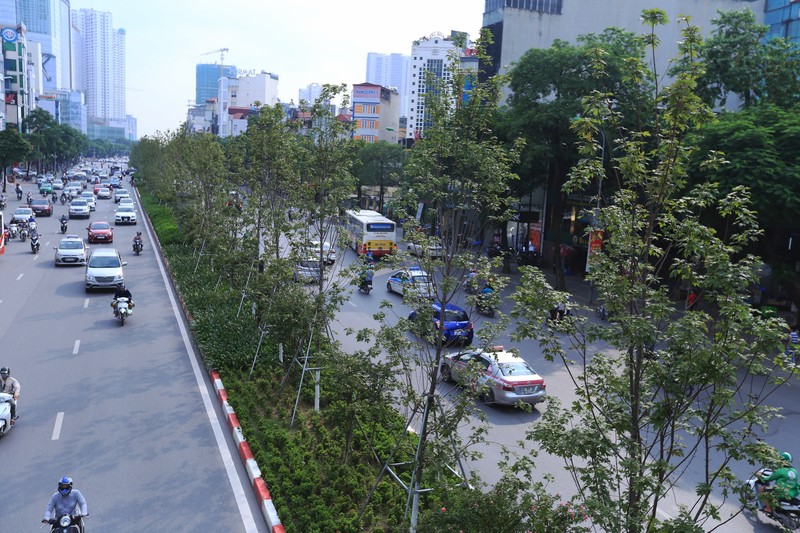 Hang phong la do o Ha Noi 'u ru, tro xuong' sau thoi ki rung la-Hinh-14