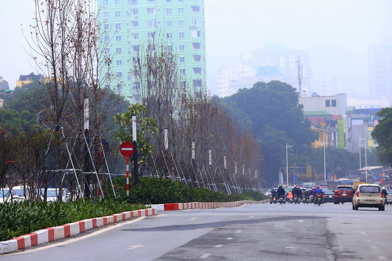 Hang phong la do o Ha Noi 'u ru, tro xuong' sau thoi ki rung la-Hinh-2