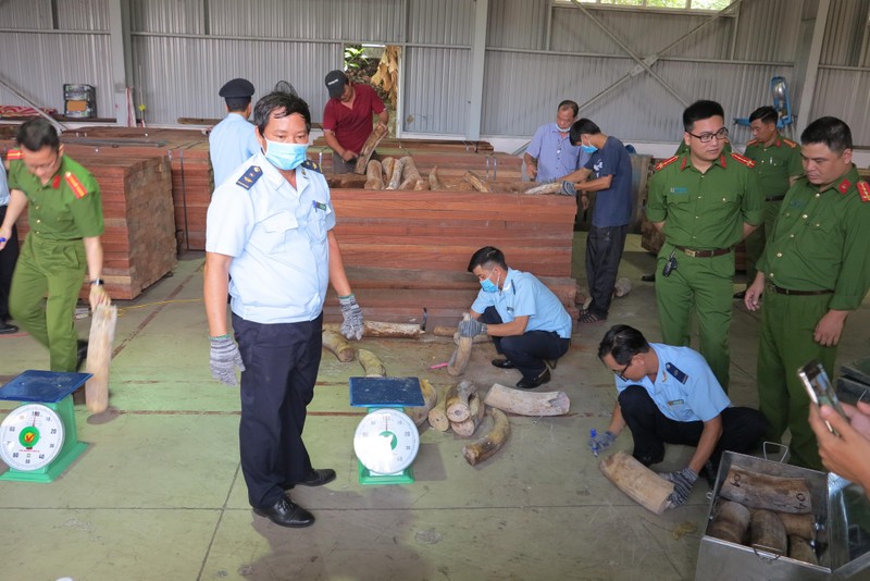 Da Nang bat 9,1 tan nghi nga voi cat giau tinh vi