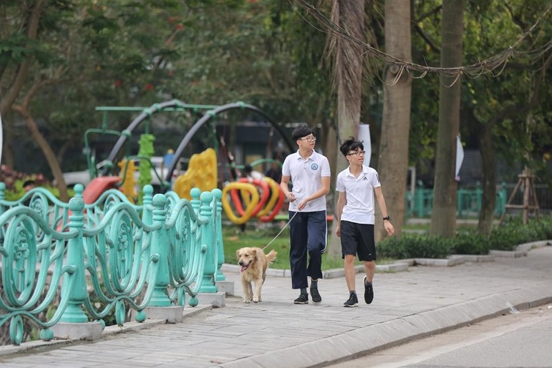 Ha Noi: Cho van duoc tha rong bat chap nhieu tai nan chet nguoi-Hinh-7