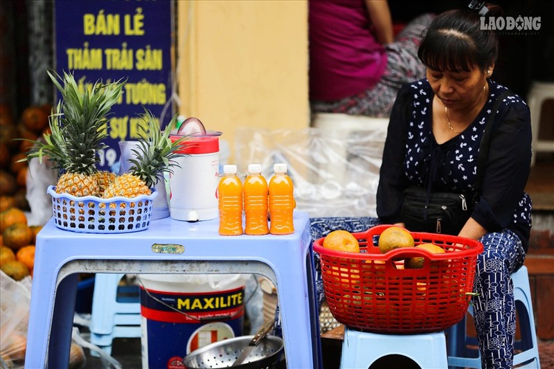 Ha Noi: Nguoi ban hang rong vat va voi nang nong dau he-Hinh-9