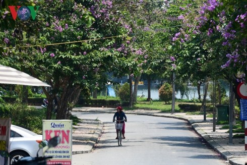 Muon kieu chong nong cua nguoi dan Hue trong ngay nang dinh diem-Hinh-8