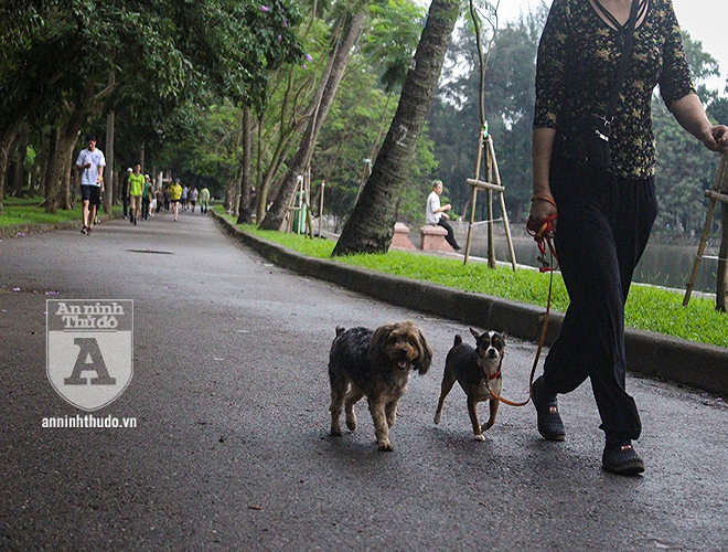 Ha Noi: Nhan nhan cho tha rong khong deo ro mom-Hinh-8