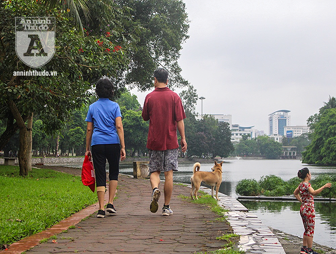 Ha Noi: Nhan nhan cho tha rong khong deo ro mom-Hinh-9