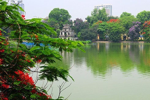 Thang 5, Ha Noi do ruc mua phuong vi chia tay tuoi hoc tro