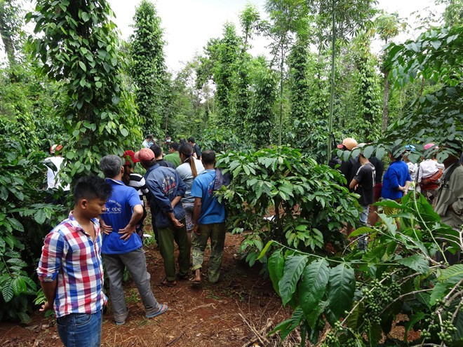 Chong giet chet vo roi uong thuoc tu tu