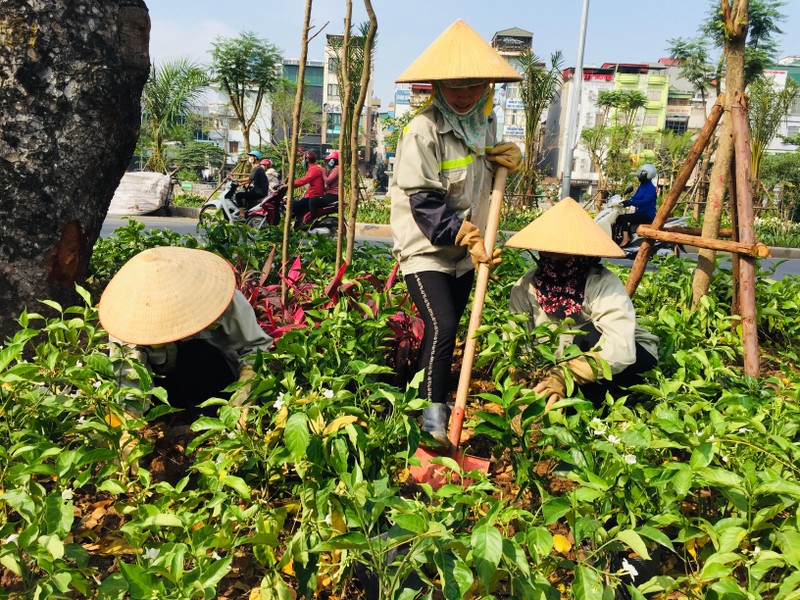 Nhung cong nhan oan minh lam viec duoi cai nang do lua