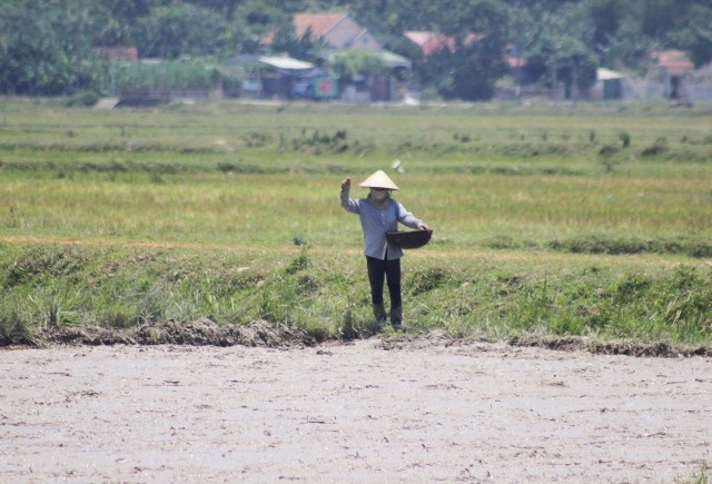 Nong dan vat ao ra mo hoi, lam dat duoi nang 40 do C-Hinh-4