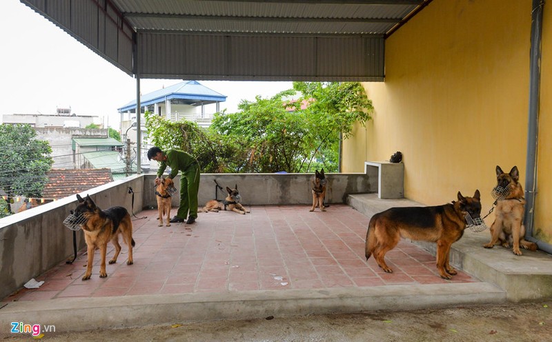 Cho nghiep vu chi noi giau ma tuy, thuoc no TNT trong chop nhoang