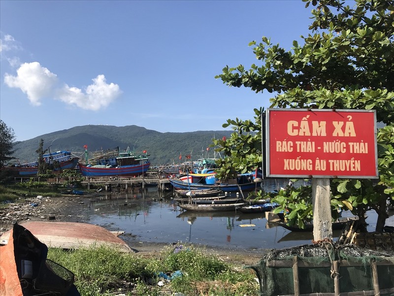 Au thuyen lon nhat Da Nang bi rac thai bua vay-Hinh-8