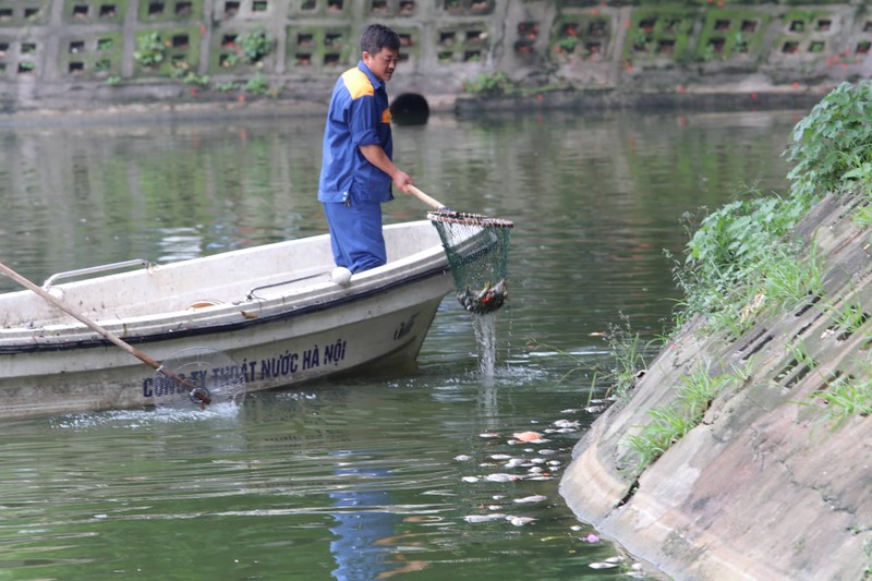 Ha Noi: Ca chet hang loat dat vao bo o ho Tay-Hinh-2