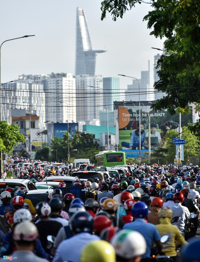 Ngat tho voi 'rung be tong' o Ha Noi va TP.HCM-Hinh-13