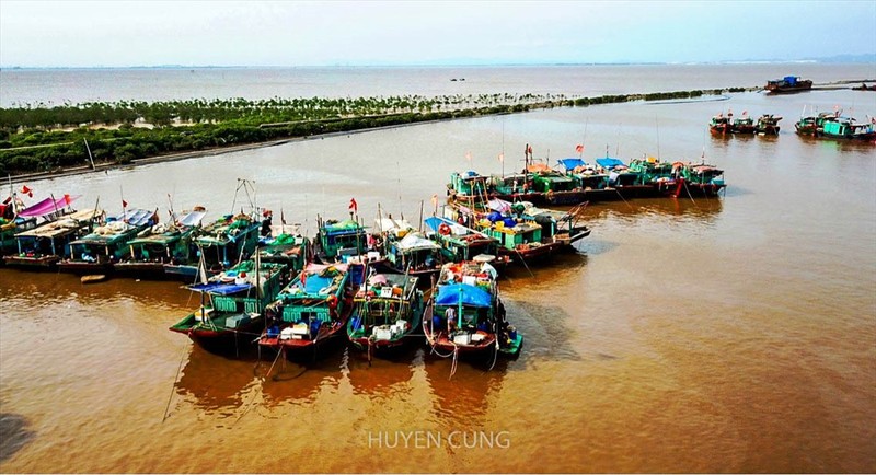 Mua he “doan vien” cua cac gia dinh ngu dan tren cang ca Ngoc Hai-Hinh-2