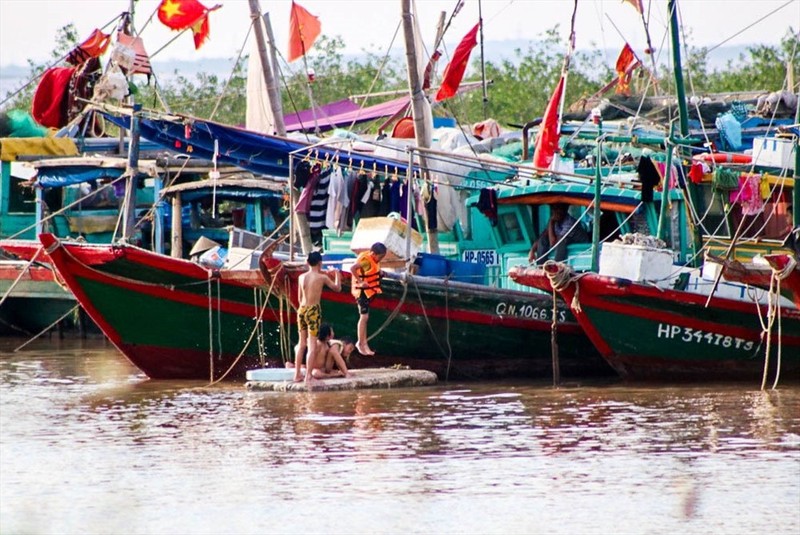 Mua he “doan vien” cua cac gia dinh ngu dan tren cang ca Ngoc Hai-Hinh-7