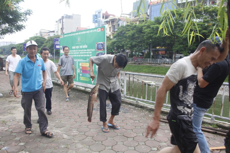 Song To Lich trong veo sau bao so 3, can thu lieu minh lao xuong bat ca tre khung-Hinh-7