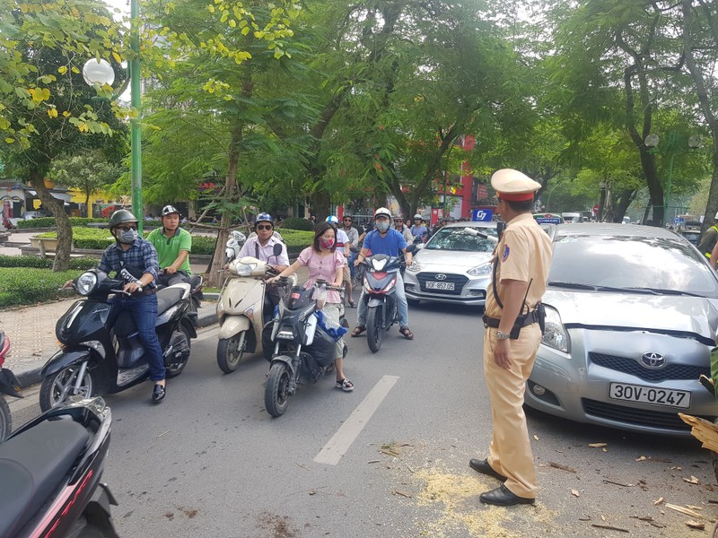 Cay xanh bat ngo bat goc de dau o to dang di tren duong-Hinh-5