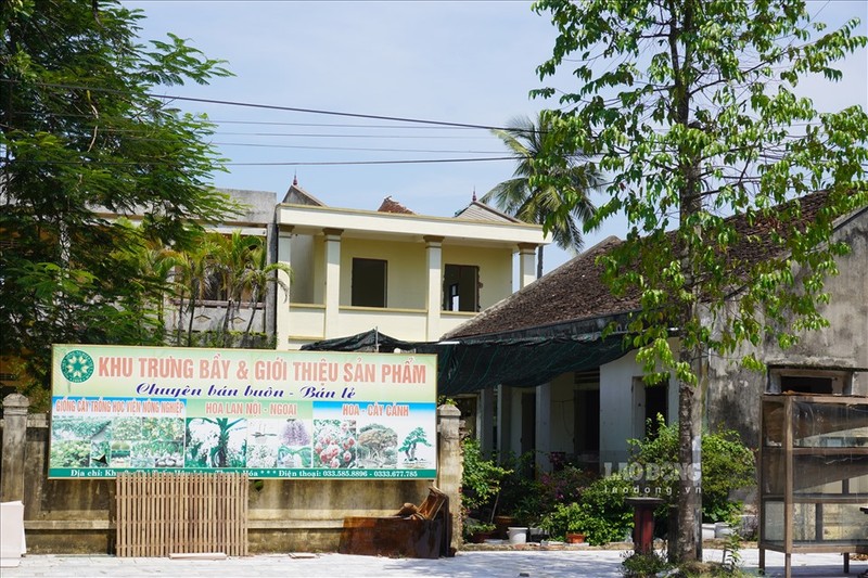 Nhieu truong hoc tai Thanh Hoa bi bo hoang, co moc um tum-Hinh-6