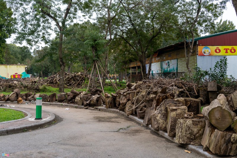 Cong vien lon nhat noi thanh Ha Noi xuong cap nghiem trong-Hinh-12