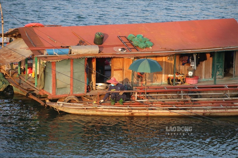 Cuoc song cua nguoi dan lang van chai giua long TP Hoa Binh-Hinh-11