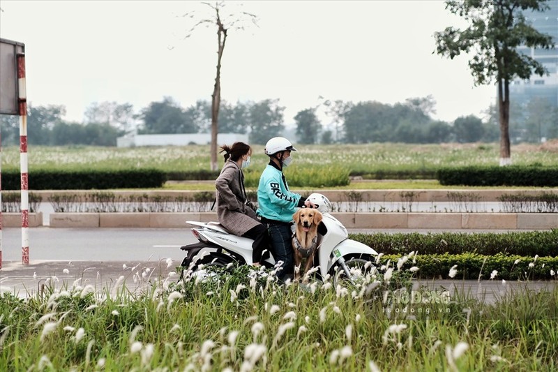 Dong co tranh giua long Ha Noi, “toa do” check-in moi cua gioi tre-Hinh-10