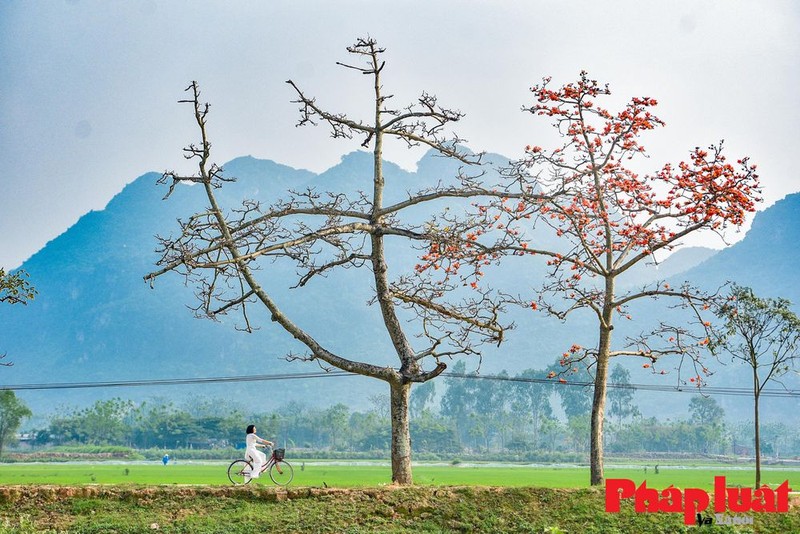 Hang hoa gao ngoai thanh gin giu hon que dat Viet-Hinh-10