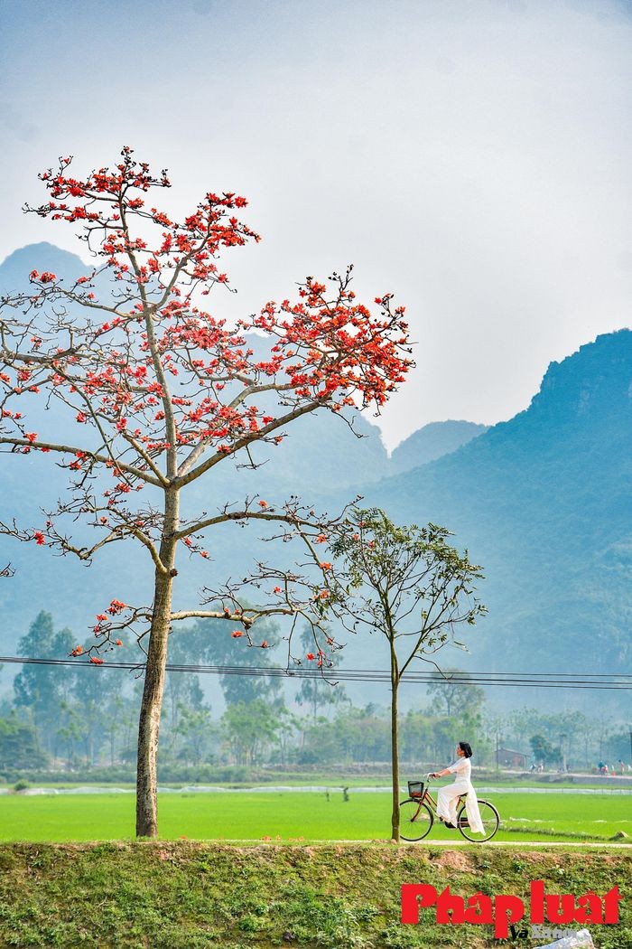 Hang hoa gao ngoai thanh gin giu hon que dat Viet-Hinh-14