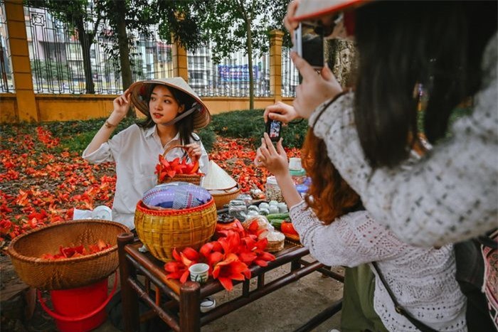 Vi sao cay hoa gao lon o Ha Noi thu hut gioi tre?-Hinh-7