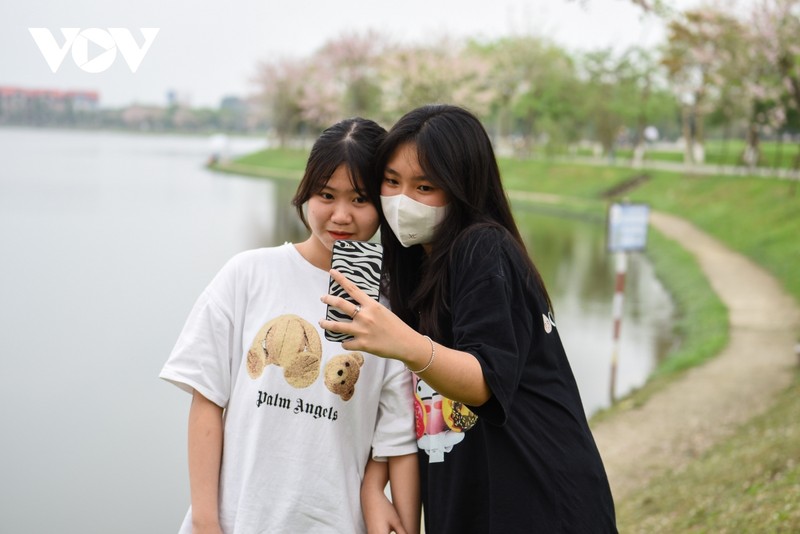 Chiem nguong hoa do mai diu dang, lan dau khoe sac tai Bac Ninh-Hinh-8