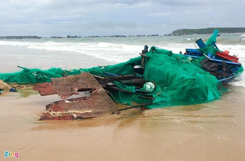 Giai cuu loat tau chim, mac can ven bo bien Phu Yen-Hinh-11