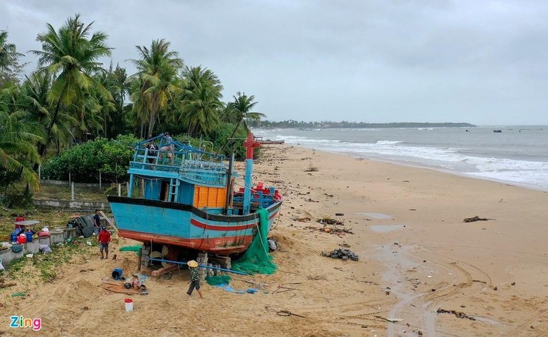 Giai cuu loat tau chim, mac can ven bo bien Phu Yen-Hinh-7