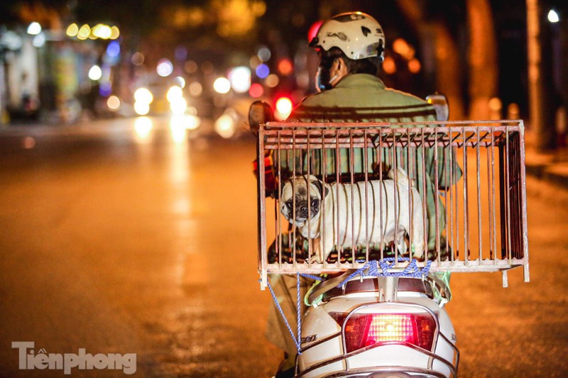 Can canh to doi bat cho tha rong o Ha Noi-Hinh-9