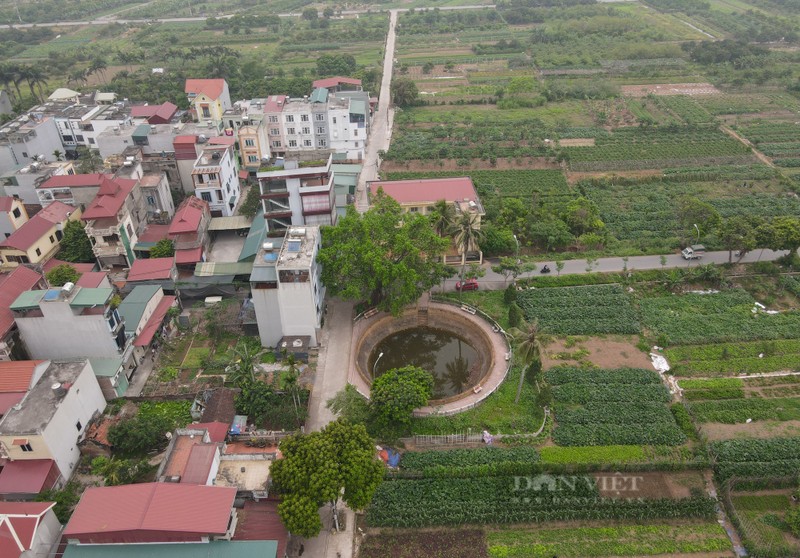 Gieng co “khong lo” nam lot thom giua long Ha Noi-Hinh-11