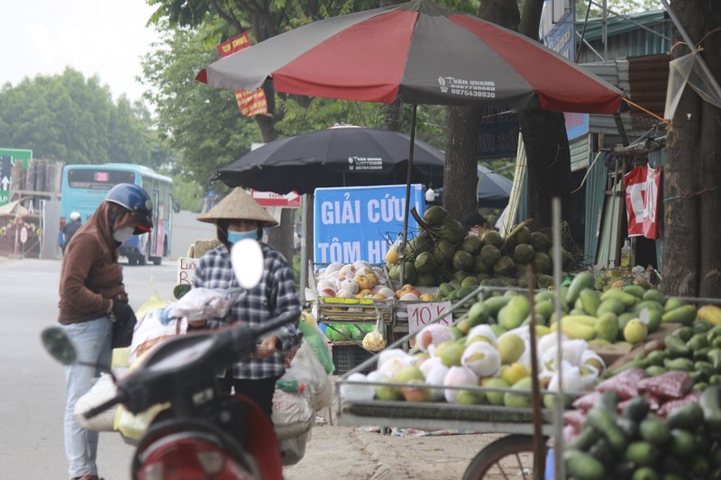 Cho tu phat moc len nhu nam doc dai lo Thang Long-Hinh-12