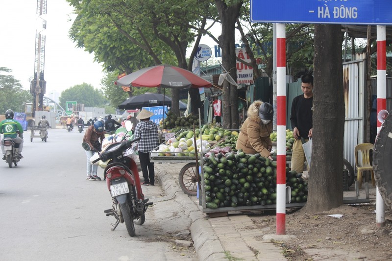 Cho tu phat moc len nhu nam doc dai lo Thang Long-Hinh-4