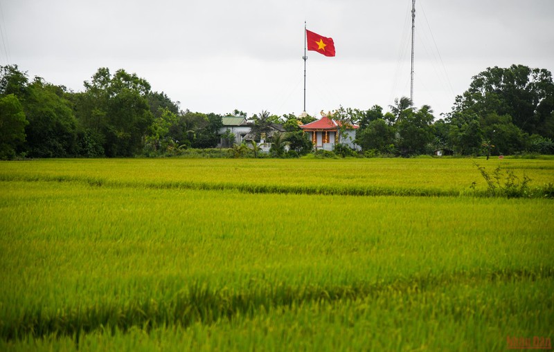 Nhung moi tinh doi bo vi tuyen-Hinh-8