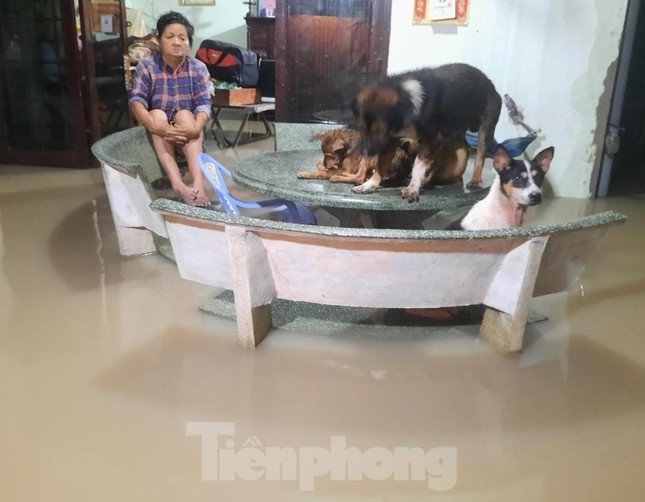 Binh Duong lam gi de hoa giai ‘cu troi mua, duong thanh song’?-Hinh-5