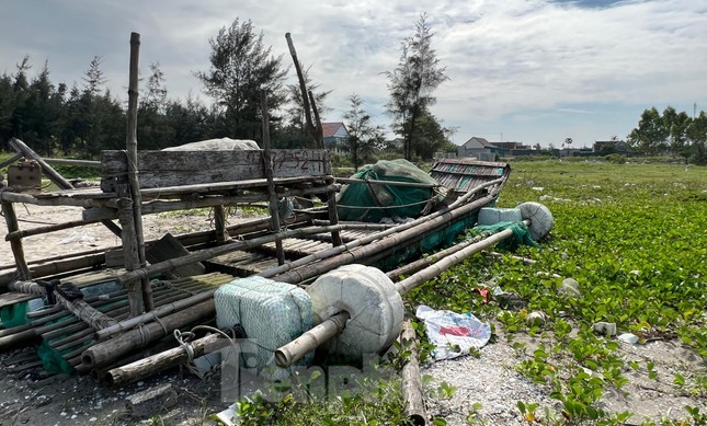 Ngon ngang ‘nghia dia’ be mang o bo bien Nghe An