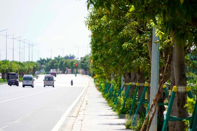 Nhieu nguoi dung dung cu tu che hai xoai tren duong 10 lan o Ha Long