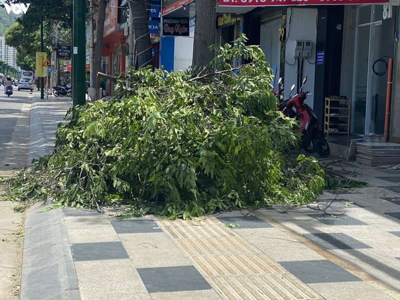 Ba Ria - Vung Tau: Day loi di cho nguoi tan tat vao cot dien, ho ga-Hinh-10